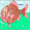 Orange Roughy Coloring